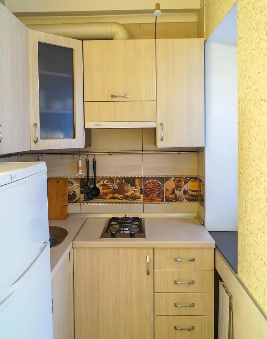 Apartment In The City Center Tsytadelnaya 7 Kyiv